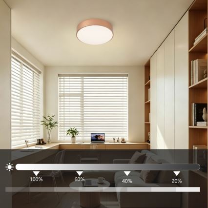 BRILAGI - Ρυθμιζόμενο φωτιστικό οροφής LED POOL LED/24W/230V 3000-6000K Ø 20 cm χάλκινο + τηλεχειριστήριο