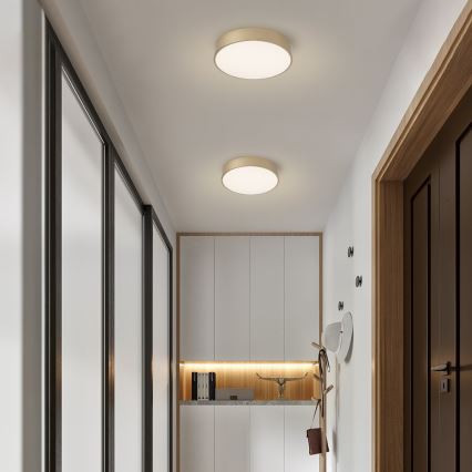 Brilagi - Ρυθμιζόμενη πλαφονιέρα LED POOL LED/36W/230V 3000-6000K, διάμ. 30 cm, σε χρυσό + τηλεχειριστήριο