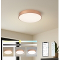 BRILAGI - LED Ρυθμιζόμενο φωτιστικό οροφής POOL SMART LED/48W/230V 3000-6000K pr. 40 cm Wi-Fi Tuya χάλκινο + τηλεχειριστήριο
