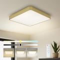 Brilagi - LED ρυθμιζόμενο φωτιστικό οροφής POOL SQUARE LED/36W/230V 3000-6000K 40x40 cm χρυσό + τηλεχειριστήριο