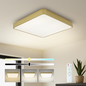 Brilagi - LED ρυθμιζόμενο φωτιστικό οροφής POOL SQUARE LED/36W/230V 3000-6000K 40x40 cm χρυσό + τηλεχειριστήριο