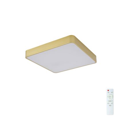 BRILAGI - LED ρυθμιζόμενο φωτιστικό οροφής POOL SQUARE LED/36W/230V 3000-6000K 40x40 cm χρυσό + τηλεχειριστήριο