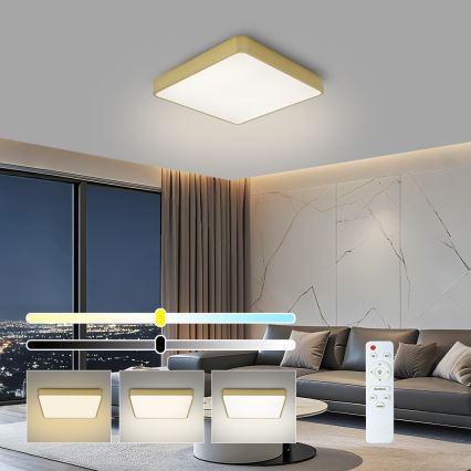 BRILAGI - Ρυθμιζόμενο LED φωτιστικό οροφής POOL SQUARE LED/48W/230V 3000-6000K 50x50 cm χρυσό + τηλεχειριστήριο