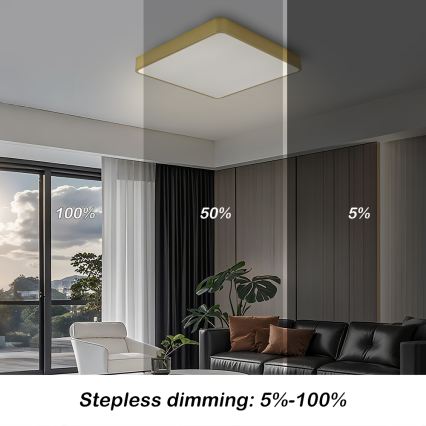 BRILAGI - Ρυθμιζόμενο LED φωτιστικό οροφής POOL SQUARE LED/48W/230V 3000-6000K 50x50 cm χρυσό + τηλεχειριστήριο