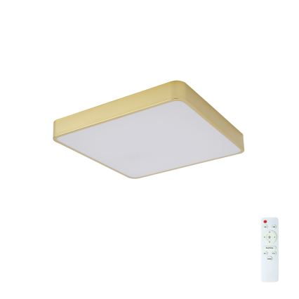 BRILAGI - Ρυθμιζόμενο LED φωτιστικό οροφής POOL SQUARE LED/48W/230V 3000-6000K 50x50 cm χρυσό + τηλεχειριστήριο