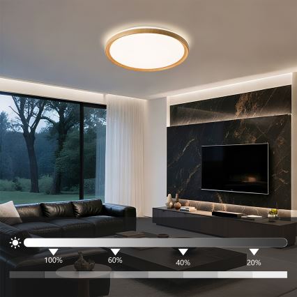 Brilagi - Ρυθμιζόμενο φωτιστικό οροφής LED RIVO LED/72W/230V 3000-6000K με φινίρισμα ξύλου, διάμετρος 50 cm + τηλεχειριστήριο