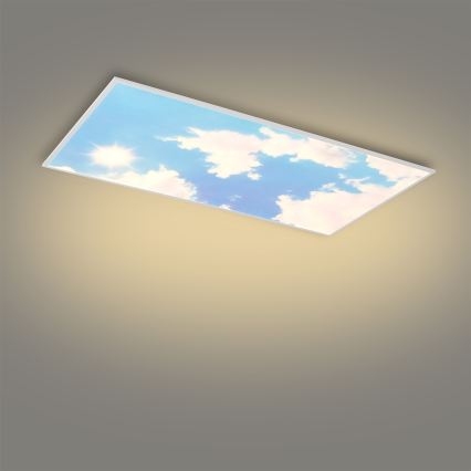 Brilagi - Ρυθμιζόμενο LED φωτιστικό οροφής SLIMFRAME SKY LED/80W/230V 120x60 cm 3000-6000K ασημί/μπλε + τηλεχειριστήριο