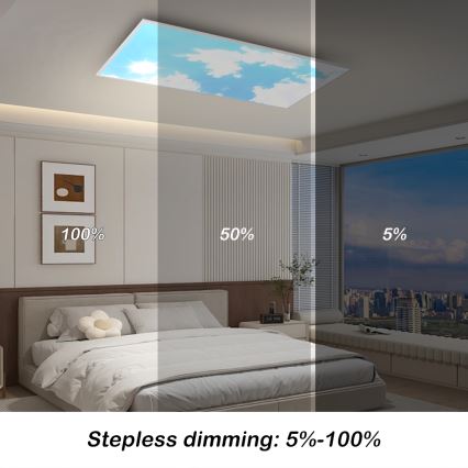 Brilagi - Ρυθμιζόμενο LED φωτιστικό οροφής SLIMFRAME SKY LED/80W/230V 120x60 cm 3000-6000K ασημί/μπλε + τηλεχειριστήριο