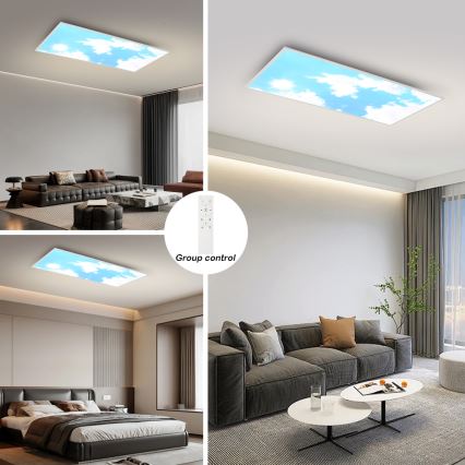 Brilagi - Ρυθμιζόμενο LED φωτιστικό οροφής SLIMFRAME SKY LED/80W/230V 120x60 cm 3000-6000K ασημί/μπλε + τηλεχειριστήριο