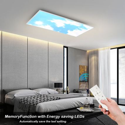 Brilagi - Ρυθμιζόμενο LED φωτιστικό οροφής SLIMFRAME SKY LED/80W/230V 120x60 cm 3000-6000K ασημί/μπλε + τηλεχειριστήριο