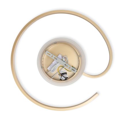 Brilagi - Ρυθμιζόμενο φωτιστικό οροφής LED SPIRAL LED/56W/230V Ø 50 cm 3000/4000/6000K + τηλεχειριστήριο