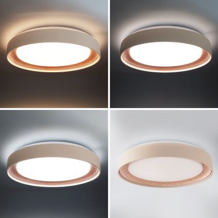 Brilagi - Ρυθμιζόμενο LED φωτιστικό οροφής WALDO LED/48W/230V 3000-6500K Ø 40 cm μπεζ/χρυσό + τηλεχειριστήριο