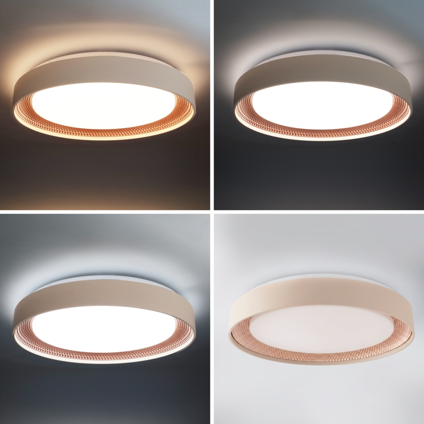 Brilagi - Ρυθμιζόμενο LED φωτιστικό οροφής WALDO LED/48W/230V 3000-6500K Ø 40 cm μπεζ/χρυσό + τηλεχειριστήριο