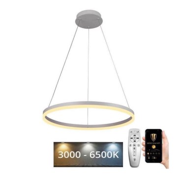 Brilagi - LED ρυθμιζόμενο κρεμαστό φωτιστικό CIRCLE LED/42W/230V 3000-6500K Ø 60 cm + τηλεχειριστήριο
