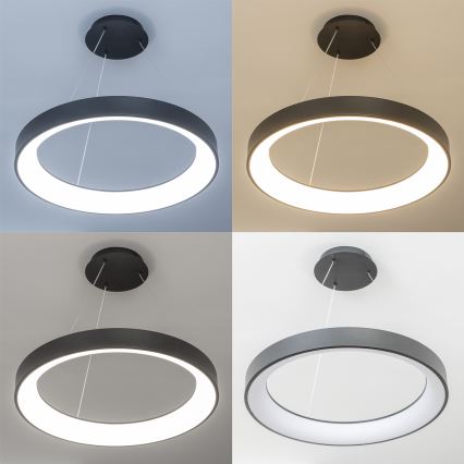 Brilagi - Ρυθμιζόμενο LED κρεμαστό φωτιστικό με καλώδιο FALCON II LED/99W/230V 3000-6500K Ø 60 cm μαύρο + τηλεχειριστήριο