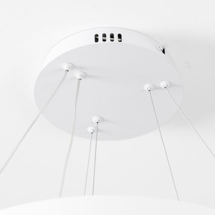 Brilagi - LED Ρυθμιζόμενο κρεμαστό φωτιστικό με καλώδιο FALCON SLIM LED/68W/230V 3000-6500K διάμ. 50 cm λευκό + τηλεχειριστήριο