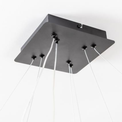 Brilagi - Ρυθμιζόμενο LED κρεμαστό φωτιστικό με καλώδιο FALCON SLIM LED/78W/230V 3000-6500K 50x50 cm μαύρο + τηλεχειριστήριο