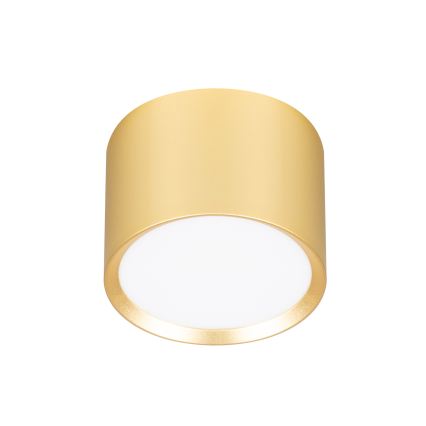 Brilagi - LED RGB+CCT Ρυθμιζόμενο σποτ SMOOTH 1xGX53/14W/230V 2700-6500K Wi-Fi Tuya χρυσό