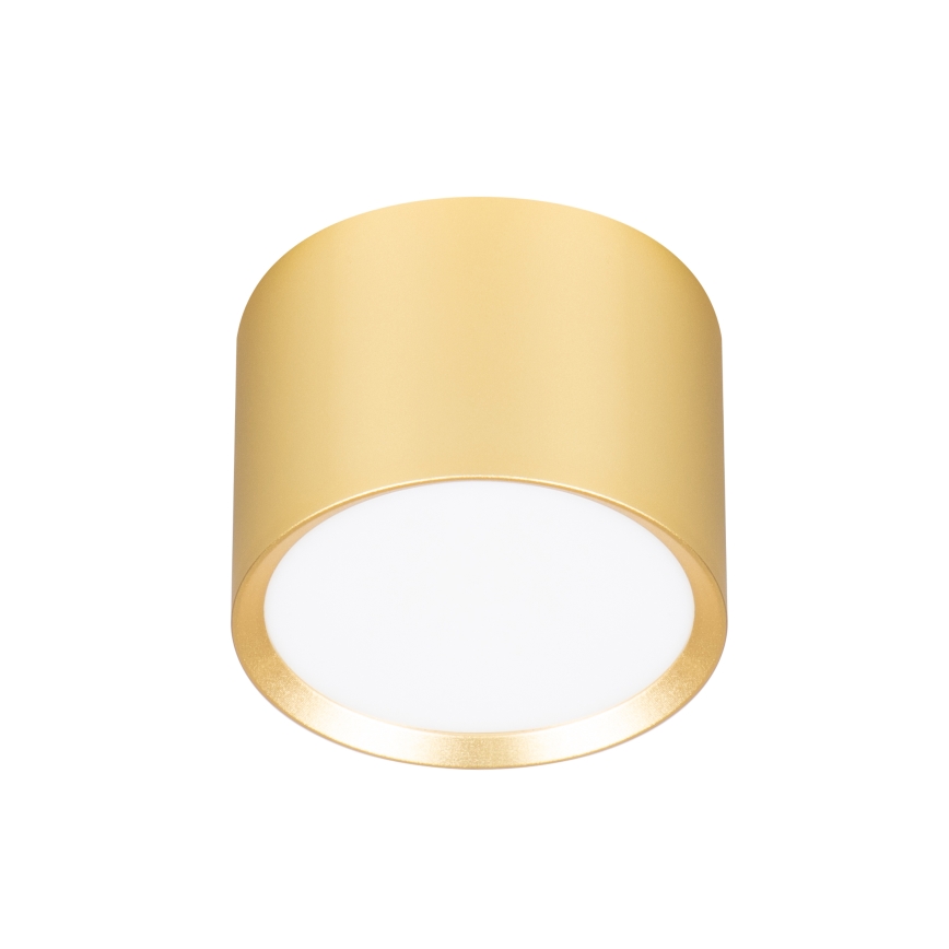 Brilagi - LED RGB+CCT Ρυθμιζόμενο σποτ SMOOTH 1xGX53/14W/230V 2700-6500K Wi-Fi Tuya χρυσό