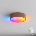 BRILAGI - LED RGBW ρυθμιζόμενο φωτιστικό οροφής CLARE 1xE27/12W/230V διάμ. 20 εκ. καφέ