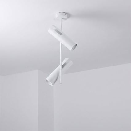 Brilagi - LED RGBW ρυθμιζόμενος πολυέλαιος σε ράβδο BRANCH 2xGU10/6,5W/230V 2700-6500K λευκό