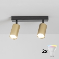 BRILAGI - LED RGBW Ρυθμιζόμενο σποτ SELE GOLDEN 2xGU10/4,8W/230V 3000K μαύρο/χρυσό + τηλεχειριστήριο