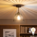 BRILAGI - LED επιφανειακό φωτιστικό οροφής CERIA WIRE 1xE27/60W/230V Ø 21 cm μαύρο