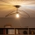 Brilagi - LED Επιφανειακός πολυέλαιος CERIA WIRE 1xE27/60W/230V 40x56 cm μαύρο/μπρονζέ