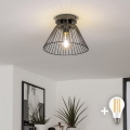 BRILAGI - LED επιφανειακός πολυέλαιος οροφής CERIA WIRE 1xE27/40W/230V Ø 30 cm μαύρος