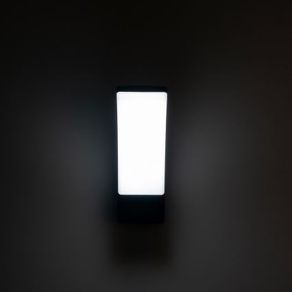 BRILAGI - LED επιτοίχιο φωτιστικό εξωτερικού χώρου ARCELO LED/12W/230V IP65 μαύρο