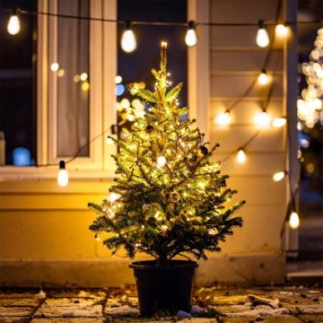 Brilagi - LED Εξωτερική  γιρλάντα 10xLED/3xAA 3,2m IP44 θερμό λευκό