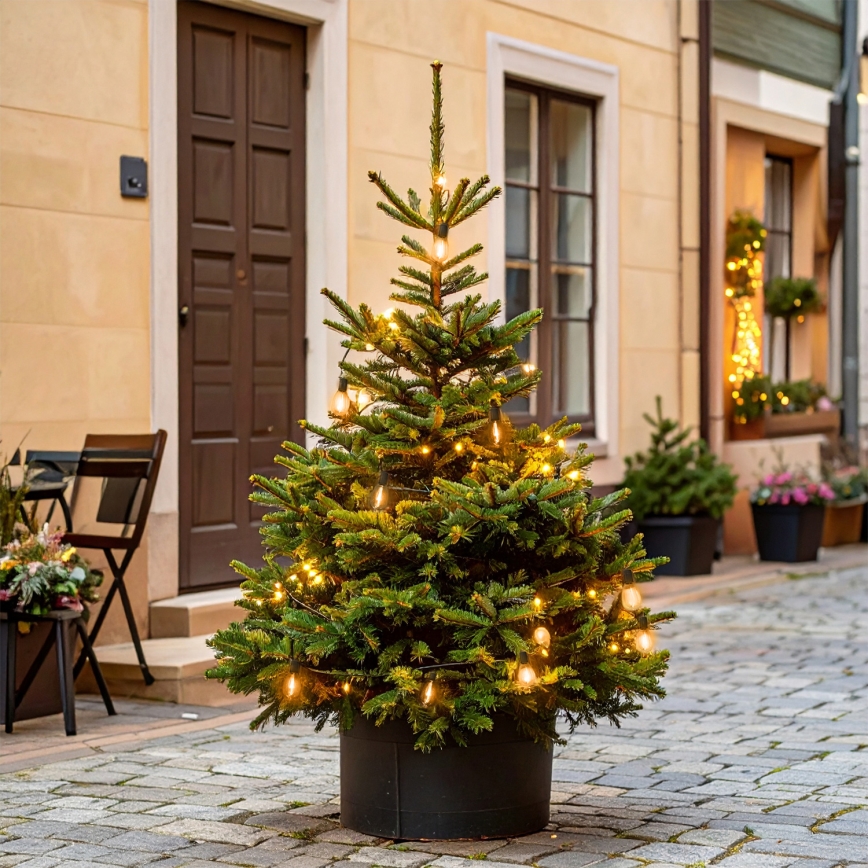 Brilagi - LED εξωτερική χριστουγεννιάτικη γιρλάντα 10xLED/3xAA 3,2m IP44 θερμό λευκό