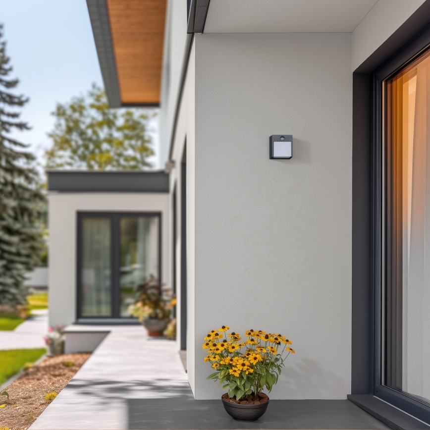 Brilagi - Εξωτερικό επιτοίχιο φωτιστικό LED με αισθητήρα TERNI LED/12W/230V ανθρακί IP44