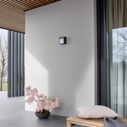 Brilagi - Εξωτερικό επιτοίχιο φωτιστικό LED με αισθητήρα TERNI LED/12W/230V ανθρακί IP44