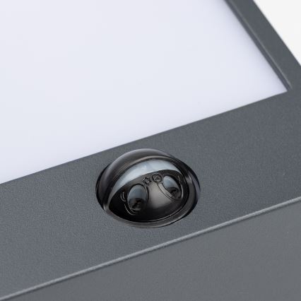 Brilagi - Εξωτερικό επιτοίχιο φωτιστικό LED με αισθητήρα TERNI LED/12W/230V ανθρακί IP44