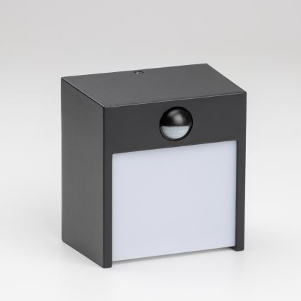 Brilagi - Εξωτερικό επιτοίχιο φωτιστικό LED με αισθητήρα TERNI LED/12W/230V μαύρο IP44