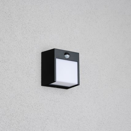 Brilagi - Εξωτερικό επιτοίχιο φωτιστικό LED με αισθητήρα TERNI LED/12W/230V μαύρο IP44