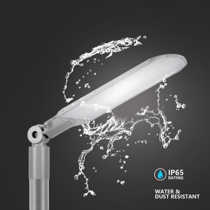 Brilagi - LED εξωτερικό φωτιστικό δρόμου URBANLIGHT LED/250W/230V γκρι IP65