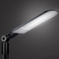 Brilagi - LED εξωτερικό φωτιστικό δρόμου URBANLIGHT LED/250W/230V μαύρο IP65