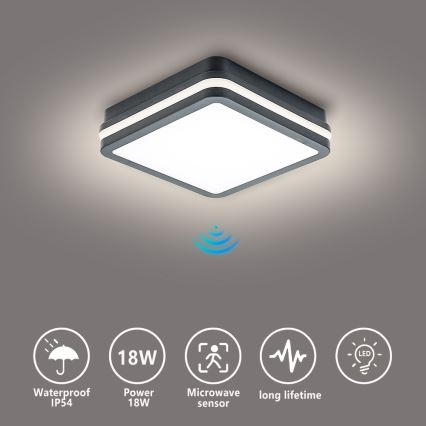 Brilagi - Εξωτερικό φωτιστικό LED με αισθητήρα BENE LED/18W/230V 22x22 εκ. ανθρακί IP54