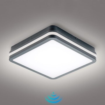 Brilagi - LED εξωτερικό φωτιστικό με αισθητήρα κίνησης BENE LED/24W/230V 26x26 cm ανθρακί IP54