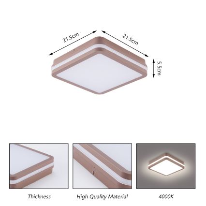 Brilagi - Εξωτερικό φωτιστικό οροφής LED BENE LED/18W/230V 21,5x21,5 cm καφέ IP54