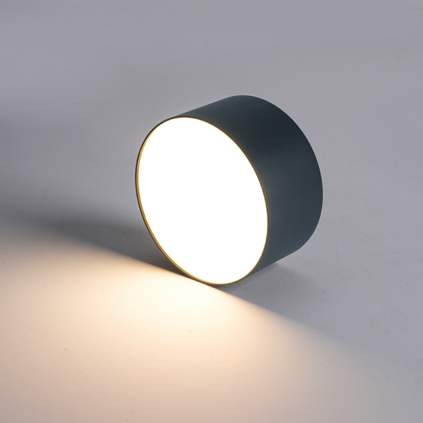 BRILAGI - LED εξωτερικό φωτιστικό οροφής FORIS LED/14W/230V Ø 12 cm ανθρακί IP44
