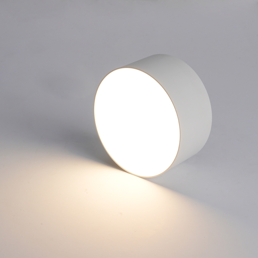 BRILAGI - LED Εξωτερικό φωτιστικό οροφής FORIS LED/20W/230V διάμ. 15 cm λευκό IP44