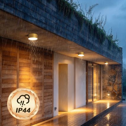 BRILAGI - LED Εξωτερικό φωτιστικό οροφής FORIS LED/20W/230V διάμ. 15 cm χρυσό IP44