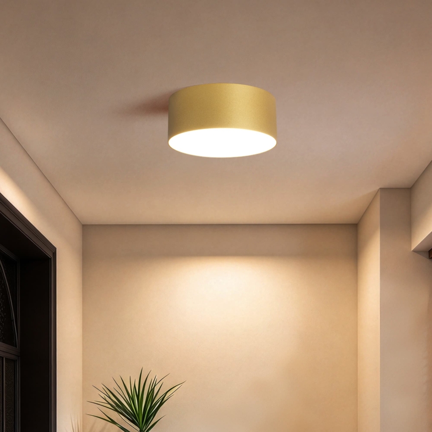 BRILAGI - LED Εξωτερικό φωτιστικό οροφής FORIS LED/20W/230V διάμ. 15 cm χρυσό IP44