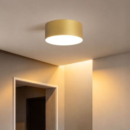 BRILAGI - LED Εξωτερικό φωτιστικό οροφής FORIS LED/20W/230V διάμ. 15 cm χρυσό IP44