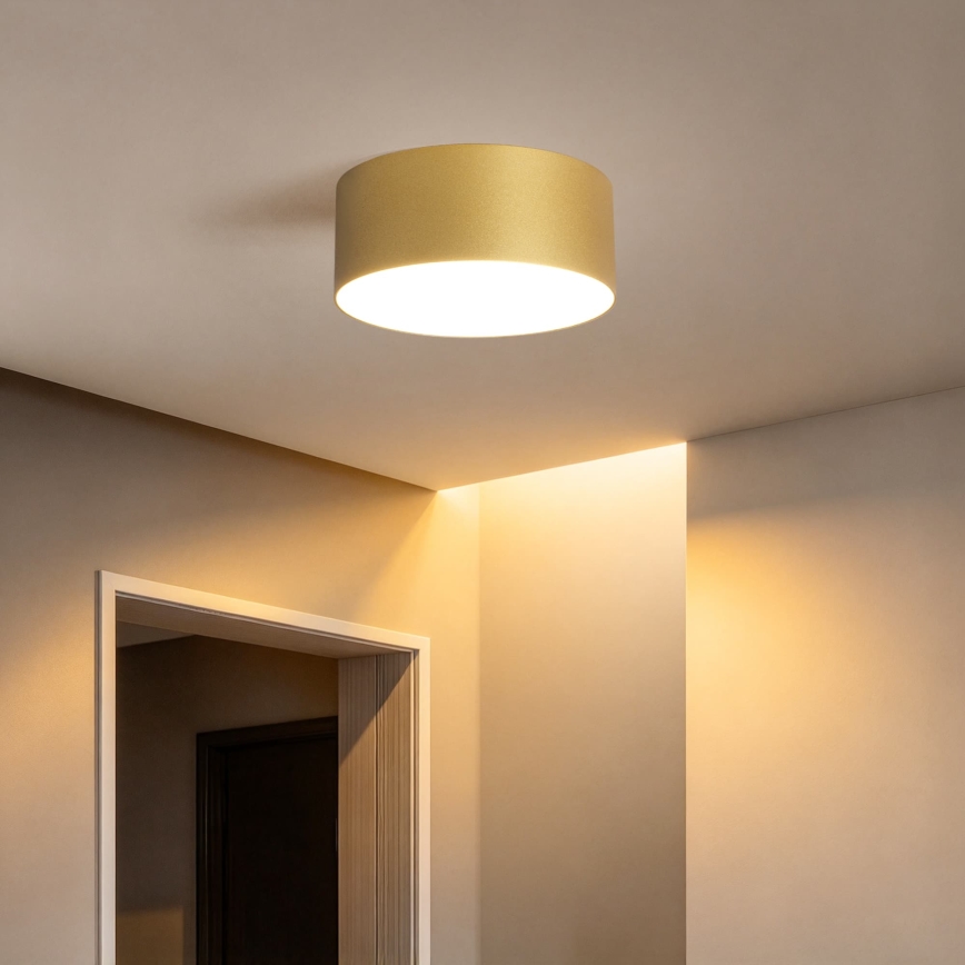 BRILAGI - LED Εξωτερικό φωτιστικό οροφής FORIS LED/20W/230V διάμ. 15 cm χρυσό IP44