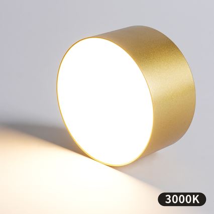 BRILAGI - LED Εξωτερικό φωτιστικό οροφής FORIS LED/20W/230V διάμ. 15 cm χρυσό IP44
