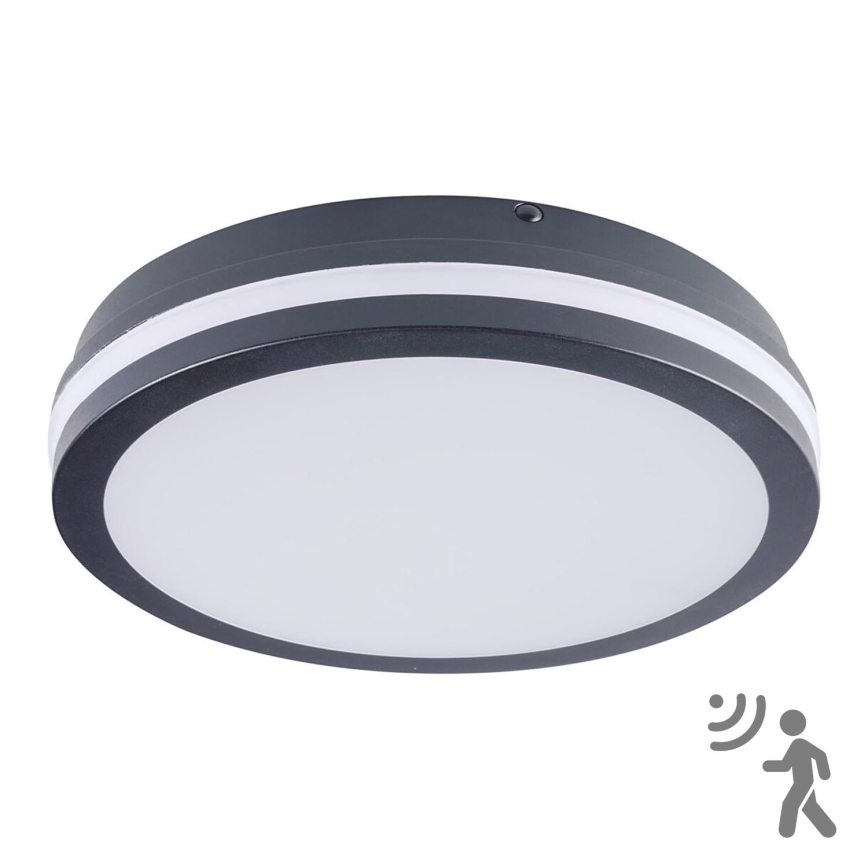 Brilagi - Εξωτερικό φωτιστικό LED με αισθητήρα BENE LED/24W/230V διάμ. 26 εκ. ανθρακί IP54